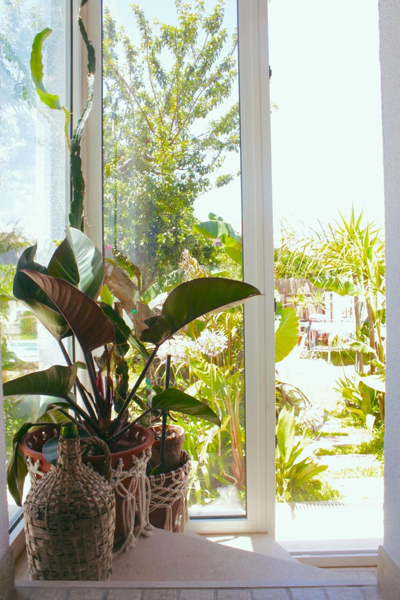 שארנקה Vila Vale Guest House - Surf & Yoga מראה חיצוני תמונה