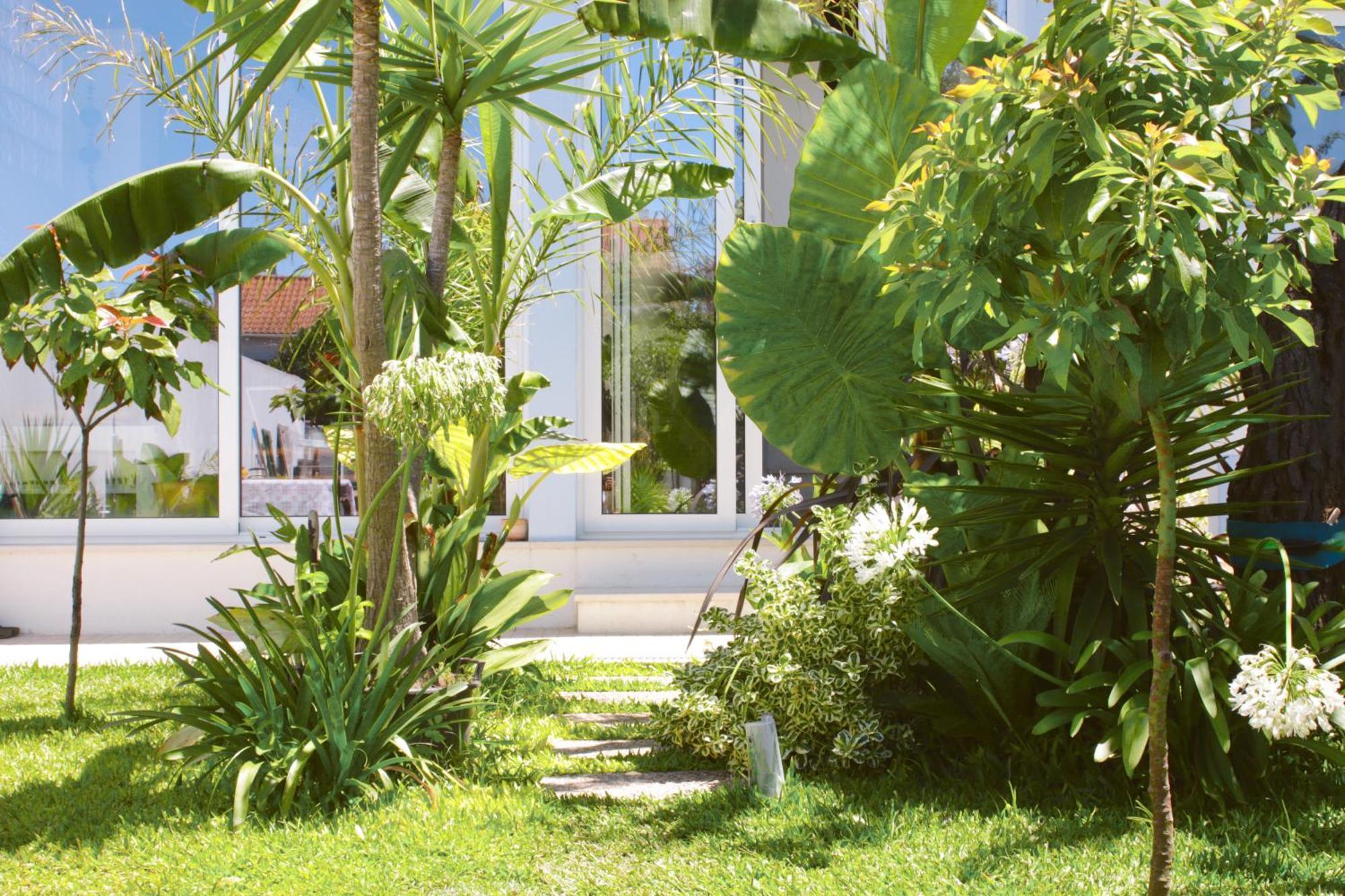 שארנקה Vila Vale Guest House - Surf & Yoga מראה חיצוני תמונה