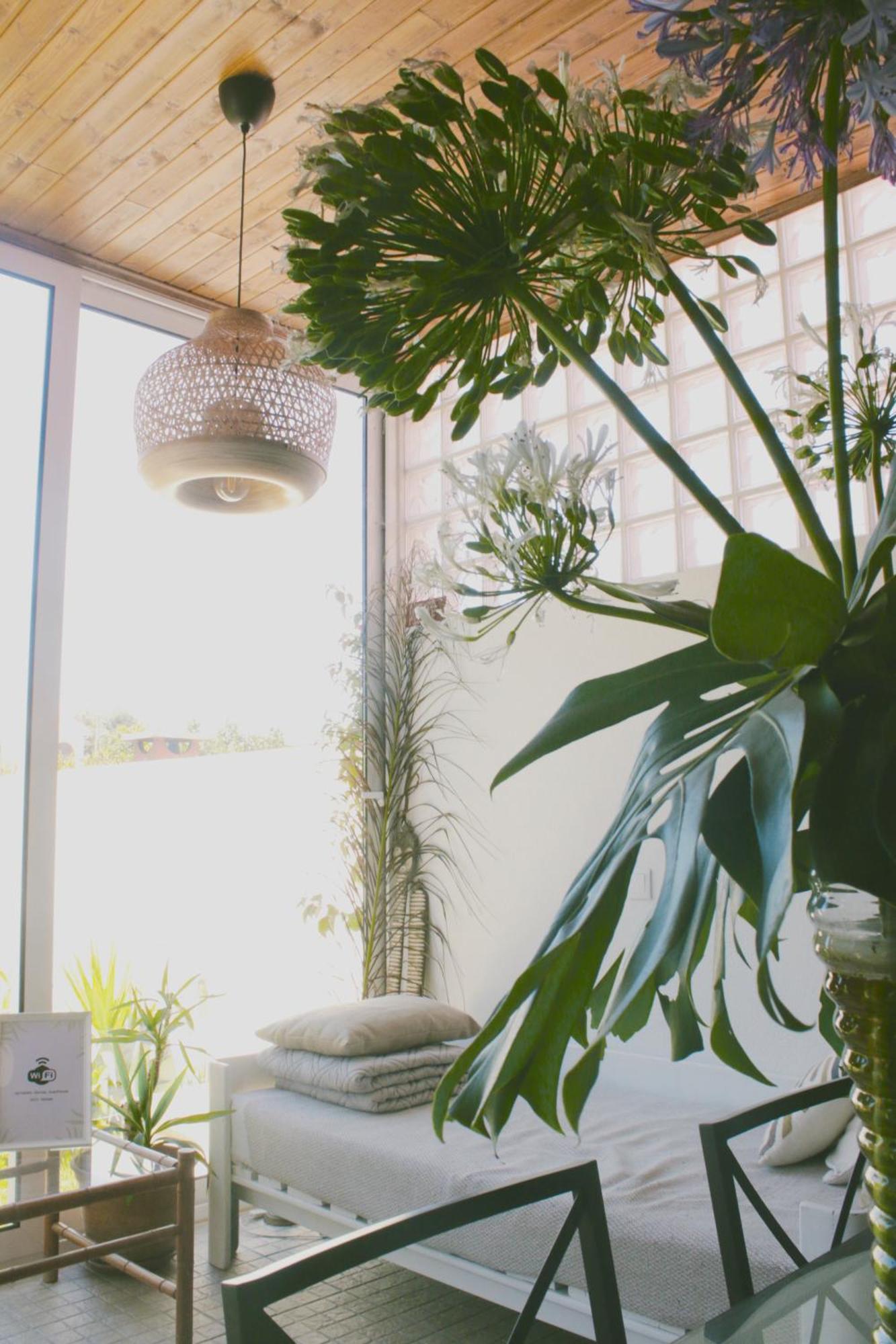 שארנקה Vila Vale Guest House - Surf & Yoga מראה חיצוני תמונה